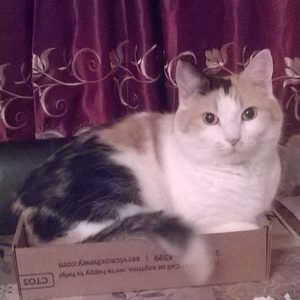 Meet your Posher, Monique